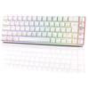 DIERYA Tastiera da gioco wireless DK68, layout tedesco QWERTZ, Bluetooth, 2400 MHz, USB-C, 68 tasti, illuminazione RGB, tastiera meccanica, colore bianco, switch blu QWERTZ