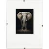 postergaleria Portafoto senza cornice Clip con cornice per foto | Vetro acrilico | di alta qualità perfetto per casa e ufficio (40x50 cm)