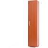 Liberoshopping Scarpiera armadio 1 anta in legno montata 4 ripiani interni piedini e maniglie (Ciliegio)