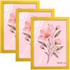 Velora Home&Living VELORA H&L H&L Set da 3 Cornici Foto Giallo 30 x 45 cm - Cornice in Legno con Plexiglass Trasparente, Portafoto da Parete, Cornice per Poster, Fotografie, Puzzle, Diplomi e Certificati