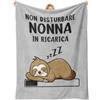 Apjielop Regalo Compleanno Nonna, Regalo Nonna - Coperta Grigia per Nonne 157×132cm | Bradipo Batteria Non Disturbare Nonna in Ricarica, Regali Compleanno, Festa della Mamma, Festa dei Nonni, Natale per Nonna