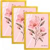 Velora Home&Living VELORA H&L H&L Set da 3 Cornici Foto Giallo 70 x 90 cm - Cornice in Legno con Plexiglass Trasparente, Portafoto da Parete, Cornice per Poster, Fotografie, Puzzle, Diplomi e Certificati