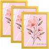 Velora Home&Living VELORA H&L H&L Set da 3 Cornici Foto Giallo A3 29,7 x 42 cm - Cornice in Legno con Plexiglass Trasparente, Portafoto da Parete, Cornice per Poster, Fotografie, Puzzle, Diplomi e Certificati