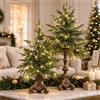 Generic Vintage Lighted Norfolk Pine Tree,Tabletop Christmas Decor with LED Light | Pre-Lit Artificial Norfolk Pine Small Christmas Tree,Warm White LED Glow,Cascading Evergreen Branches,Antique-Bronze Pedestal