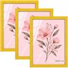 Velora Home&Living VELORA H&L H&L Set da 3 Cornici Foto Giallo 20 x 25 cm - Cornice in Legno con Plexiglass Trasparente, Portafoto da Parete, Cornice per Poster, Fotografie, Puzzle, Diplomi e Certificati