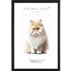 PrimeLuxe Cornice portafoto in legno massello su misura stretta 10 x 21 cm in nero opaco | Dimensioni selezionabili | con vetro acrilico antiriflesso | Cornice per poster | Puzzle | Foto collage