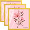Velora Home&Living VELORA H&L H&L Set da 3 Cornici Foto Giallo 60 x 60 cm - Cornice in Legno con Plexiglass Trasparente, Portafoto da Parete, Cornice per Poster, Fotografie, Puzzle, Diplomi e Certificati