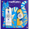 Roger&Gallet Set Natale Vanille Soleil Eau De Toilette 100 ml + in Omaggio Latte Corpo 250 ml - Roger&gallet - 990861751