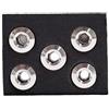 FACULX Set Viti Fisso Bici M8x6.5mm Single Ring Set Viti Fisso Bici | Lega leggera, solo per 3g, resistenza , ambiente fango pioggia, no ruggine