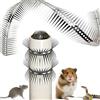 SYXLS Chiodo a Prova Di Ratto, Kit Di Protezione Dell'Ago Con Rete Di Filo Spinato, Protezione Del Visone In Acciaio Inossidabile,Protezione Dell Arrampicata Del Gatto, Tubo Di Protezione Dell Albero