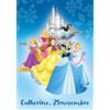 Afie CSC1212 - Set di 25 cartoline Disney Principesse Castello Cenerentola Rapunzel Santa Catherine, 25 novembre, con licenza ufficiale, formato 10,5 x 15 cm, carte collezionabili per ragazze e A.P.E.L.