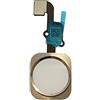 DHLK® Cavo Tasto Home Compatibile con iPhone 6S Plus Bianco - No Impronta Digitale (A1634, A1687, A1699)