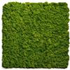 Set 2 pezzi Pannello Decorativo Fonoassorbente 60x60 Effetto Muschio Erba Sintetica Verde