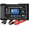Haisito Caricabatterie per auto da 20 A, 12 V, 24 V, 20 A, caricabatterie di mantenimento e dispositivo di desolficazione, adatto per litio, LiFePO4, piombo acido (AGM, gel, ecc.) moto, auto, barche