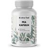 XTRA FUEL Capsule di PEA - Palmitoyletanolamide micronizzata - 1200 mg al giorno - 1 confezione (180 capsule di PEA)