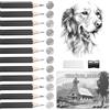Wonwood_direct Set di 14 Matite da Disegno, Set Professionale di Matite da Disegno con Temperino e Gomma per Artisti, Adulti, Dello Schizzo