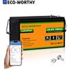 ECO－WORTHY ECO-WORTHY Batteria LiFePO4 2.56kWh 24V 100Ah con Bluetooth per Basse Temperature, per Casa e Camper