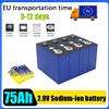 SMALL DEN Batteria al Sodio-Ione di Classe A completamente nuova 2.9V 75Ah 2.9V 20C Resistente a basse e alte temperature per fai-da-te 12V 24V Carrello da golf Auto elettrica Viaggi Inverter solare