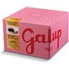 Galup - Panettone Pesca, Amaretto e Cioccolato - 750g