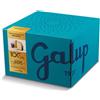 Galup - Panettone Paradiso - 750g