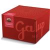 Galup - Panettone Tradizionale - 750g