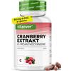 vit4ever Estratto di Mirtilli Rossi con Vitamina C - 25.000mg - 240 Capsule | Cranberry 25:1 - 60mg PAC - 6% Proantocianidine - Scorta 120 Giorni - Senza additivi inutili - Vegan - Testato in Laboratorio
