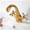 BOOXELY Rubinetto miscelatore per lavabo da bagno rubinetti a croce in ottone
