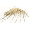 ZocoChic Paralume per lampada a sospensione a forma di foglia di palma, 30 x 10 cm | Fatta a mano, artigianale, realizzata in Marocco, design naturale, da appendere