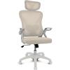 DRIFT GAMING DRAIR35 - Sedia da Scrivania Ergonomica per Ufficio e Casa in Rete Tesa Traspirante, Reclinabile 90-120°, Poggiatesta e Braccioli Pieghevoli, Supporta fino a 120 kg, Beige-Bianco