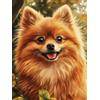 Generic Kit per diamond painting 5D, motivo: cane Pomerania, 30,5 x 40,6 cm, per adulti e principianti, artigianato fai da te per rilassarsi e decorare le pareti della casa 217