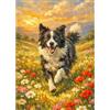 JICFDAO 5D Diamond Painting Cane Border Collie 30 x 40 cm Dipingere con i numeri, Cane Diamante, Pittura a forma di cucciolo, Animali con fiori, senza stress, per principianti, decorazione per la casa