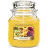 YANKEE CANDLE Candela, Frutta Stella Tropicale, Classic Medium Jar, 411 unità