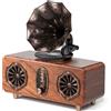 Lustrens Altoparlante Bluetooth retrò con radio FM, supporta scheda TF/AUX/USB