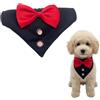 YEMVAR Bandana per Cani Formale 36-60 CM,Collare Smoking Cane, Travestimenti per Cani, Sciarpa Cravatta Cane Regolabile, per Animale Domestico per Matrimoni, Compleanni, Festa(S,16-28 cm)