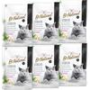 Cat&Rina BeNatural, Lettiera per Gatti al Tofu 5,5L, 6 pezzi | Agglomerante e Vegetale. Fino a 30 giorni di utilizzo. Smaltibile nell'organico o nel wc. Anti Odore Carboni Attivi,