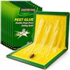ShadowRealmTech Trappole Scarafaggi 10 Pezzi Trappole per Blatte Cimici 31.5cm x 21cm