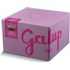 Galup - Panettone Lamponi e Cioccolato - 750g