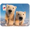 Edition Colibri Tappetino per mouse con motivo orso polare, 23 x 19 cm, in gomma speciale, fondo resistente, divertente tappetino per mouse per ufficio, home office e come regalo per gli amanti degli animali