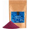 BRIX, GROWN FOR FLAVOUR BRIX Mirtillo Liofilizzato in Polvere | 100% Mirtilli Secchi Naturali 100g | Frutta Essiccata con Fantastico Sapore | Non-OGM, Senza Glutine, Vegano e Vitamine Preservate