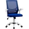 Sedia Da Ufficio Ergonomica Con Supporto Lombare, Braccioli Pieghevoli, Sedia Da Scrivania Girevole In Rete Traspirante Con Schienale Reclinabile E A