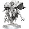 WizKids Le meravigliose miniature di D&D Nolzur: miniature di Dungeons e draghi maschili chierici di Aasimar