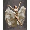 Artnapi Dipingere con i numeri, adulti con cornice, dipinta a mano, ballerina in volo, kit per principianti e adulti, set con colori acrilici e pennelli, tela da 40 x 50 cm, ideale come regalo
