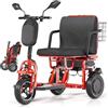 Generico Scooter Elettrico Pieghevole a 3 Ruote per Anziani con Batteria Rimovibile Ideale per Anziani E Persone con Disabilità Portata 160 kg Green,E