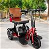 Generico Scooter Elettrico Pieghevole a 3 Ruote per Anziani con Batteria Rimovibile Ideale per Anziani E Persone con Disabilità Portata 160 kg Green,H
