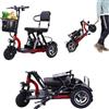 Generico Scooter Elettrico Pieghevole a 3 Ruote per Anziani con Batteria Rimovibile Ideale per Anziani E Persone con Disabilità Portata 160 kg Green,B