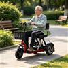 Generico Scooter Elettrico Pieghevole a 3 Ruote per Anziani con Batteria Rimovibile Ideale per Anziani E Persone con Disabilità Portata 160 kg Green,A