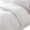 Home Tresor - Piumino Letto Invernale Calda e Morbida Microfibra 300 gr./mq, Trapunta Piumone Bianco cm. 155 x 200 (Singolo)