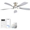 Sofucor Smart Ventilatore da Soffitto con Luce, Alexa/App, Telecomando | 132 cm, WiFi, Timer, 6 Velocità, 3 Regolazioni di Colore, DC, Silenzioso, per Soggiorno