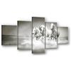 Visario Quadro su tela 5 pezzi XXL 160x80 cm 5549 - Cavalli bianchi nell'acqua - Galoppo in bianco e nero - Set quadri pronto da appendere su telaio in legno