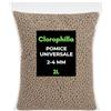 Clorophilla Pomice Vulcanica 2-4 mm per Piante - Inerte Naturale Drenante e Aerante - Substrato Professionale per Bonsai, Cactus, Succulente e Terrarium - Granulometria Fine - Made in Italy (2 Litri)